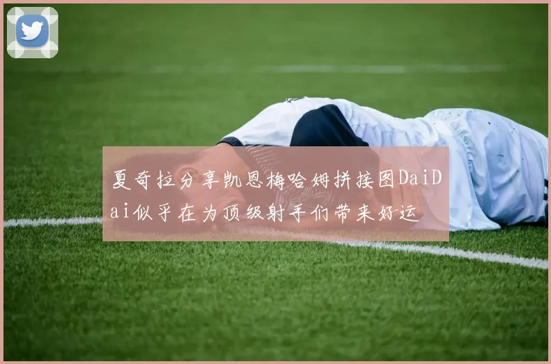 夏奇拉分享凯恩梅哈姆拼接图DaiDai似乎在为顶级射手们带来好运
